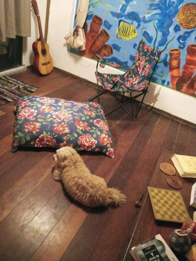 Bed&Potato Studio Ilha Grande - Casa Inteira Para Ate 4 Pessoasアパートメント エクステリア 写真